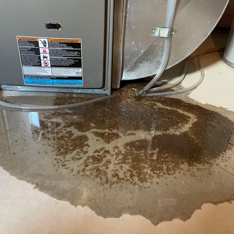 Appliance Leak Cleanup in Coto De Caza, CA